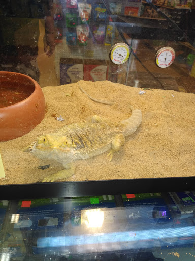 Pet Store «A to Z Pets», reviews and photos, 16010 SE Division St, Portland, OR 97236, USA