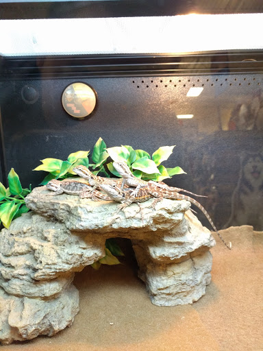 Pet Supply Store «PetSmart», reviews and photos, 3610 Rosecrans St, San Diego, CA 92110, USA