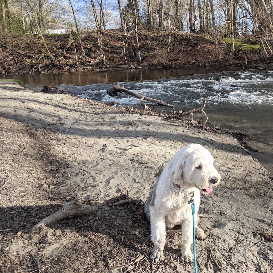 Hopewell Beach