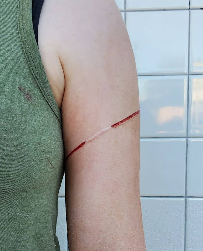 Explore vegan tattoo ideas, creative tattoo ideas in Phoenix, available at Wholehearted Body Piercing