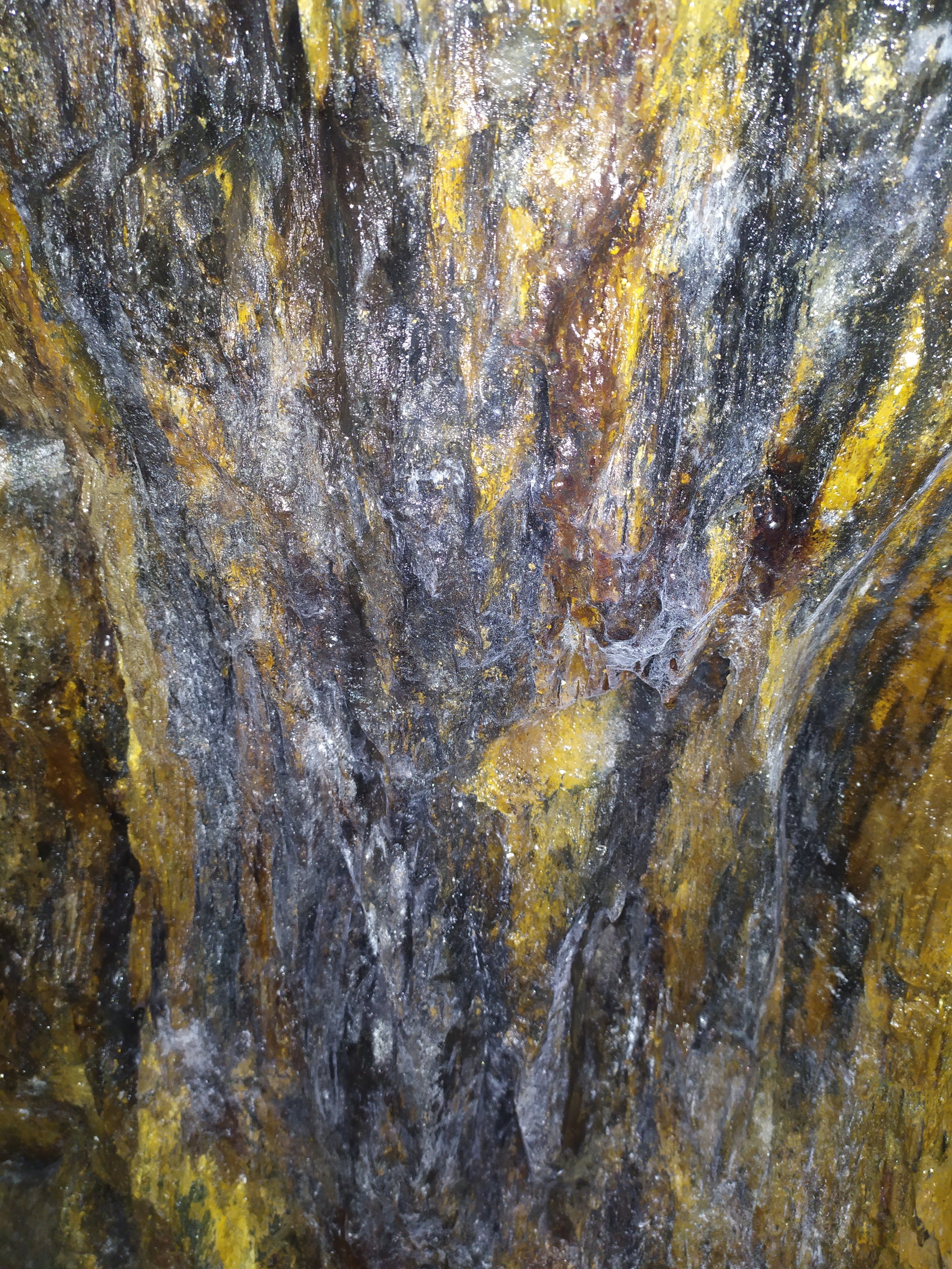 Photo n° 28 de l'avis de Céline.r fait le 20/02/2020 à 17:52