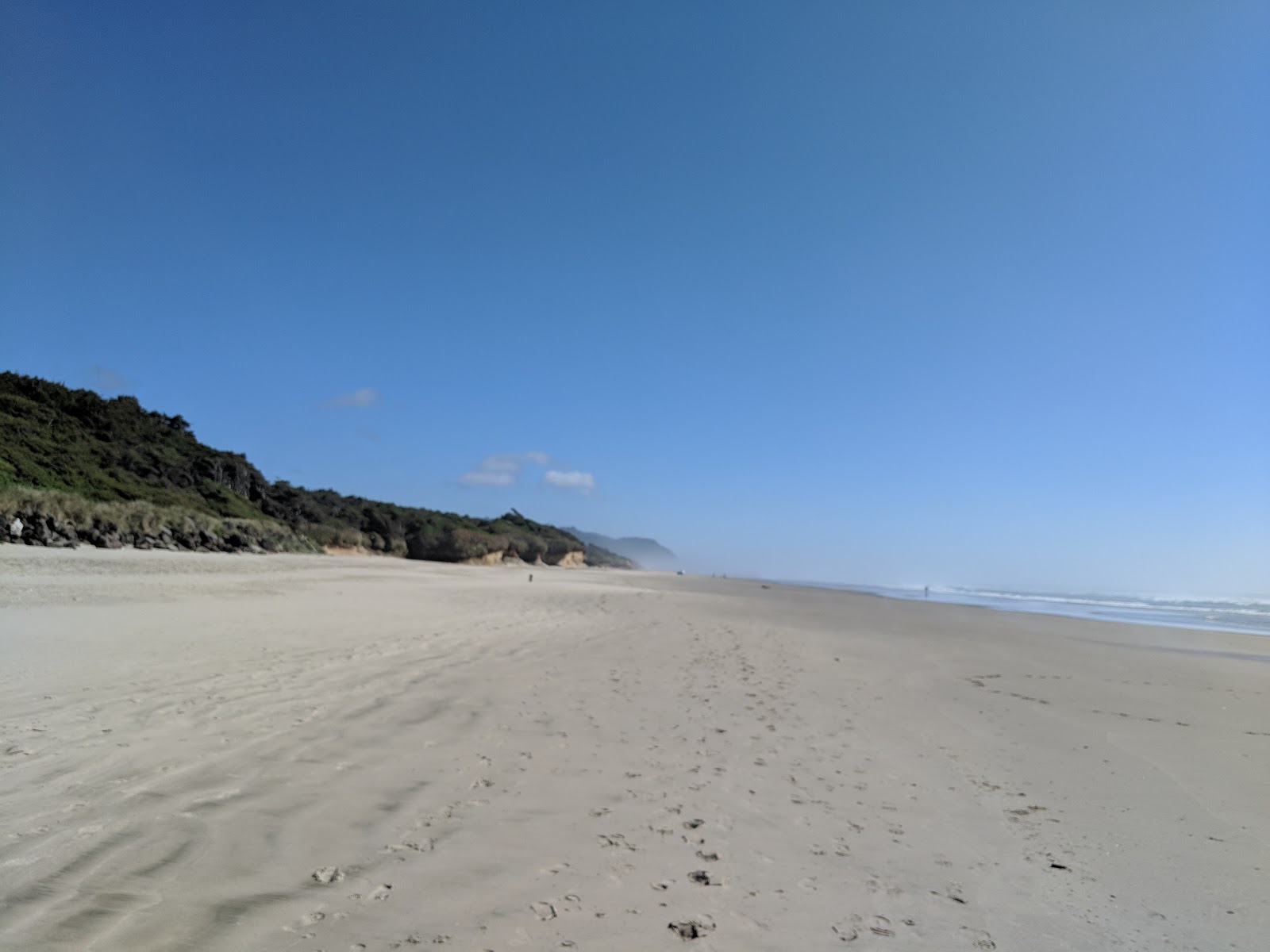 Fotografija Tillicum Beach z svetel pesek površino