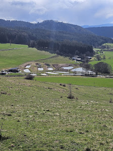 Kärntner Edelkrebse KOS OG Schelmberg, 9334 Guttaring, Österreich