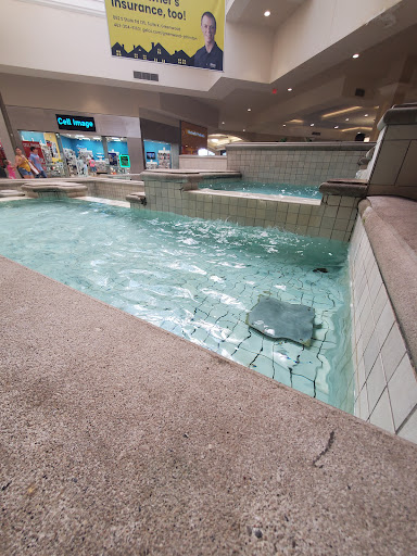 Shopping Mall «Greenwood Park Mall», reviews and photos, 1251 US Highway 31 N, Greenwood, IN 46142, USA