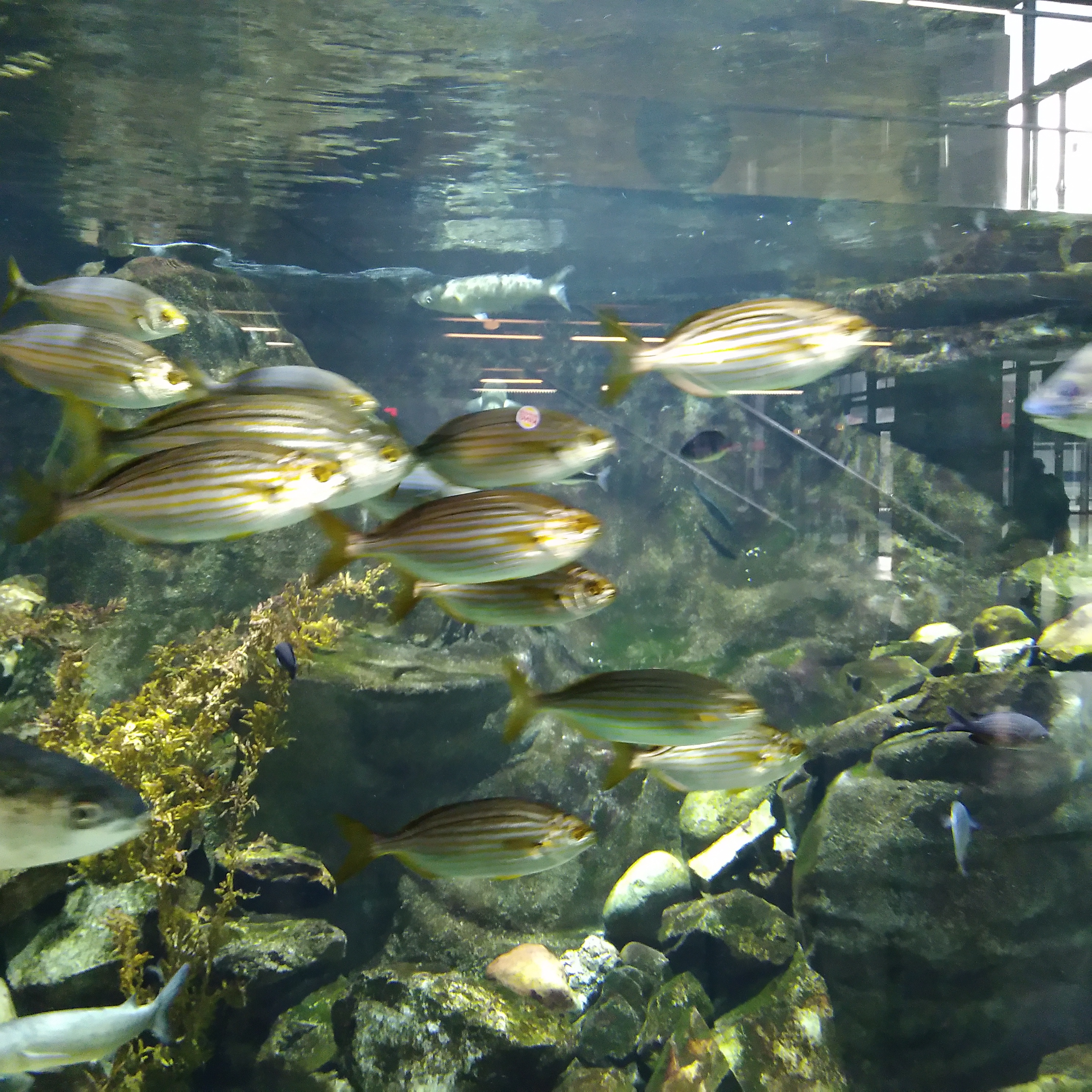 Photo n° 4 de l'avis de Carda.o fait le 10/12/2023 à 10:19