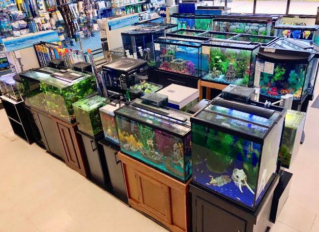 Water Life Aquariums