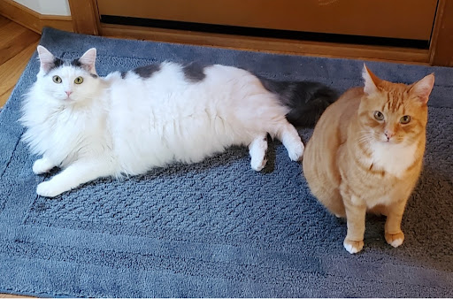 1420 Meridian Ave E, Milton, WA 98354, USA