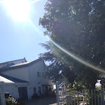 Photo n°15 de l'avis de Maryna.r fait le 30/09/2023 à 18:20 sur le  Trattoria del Liberale à Genoa