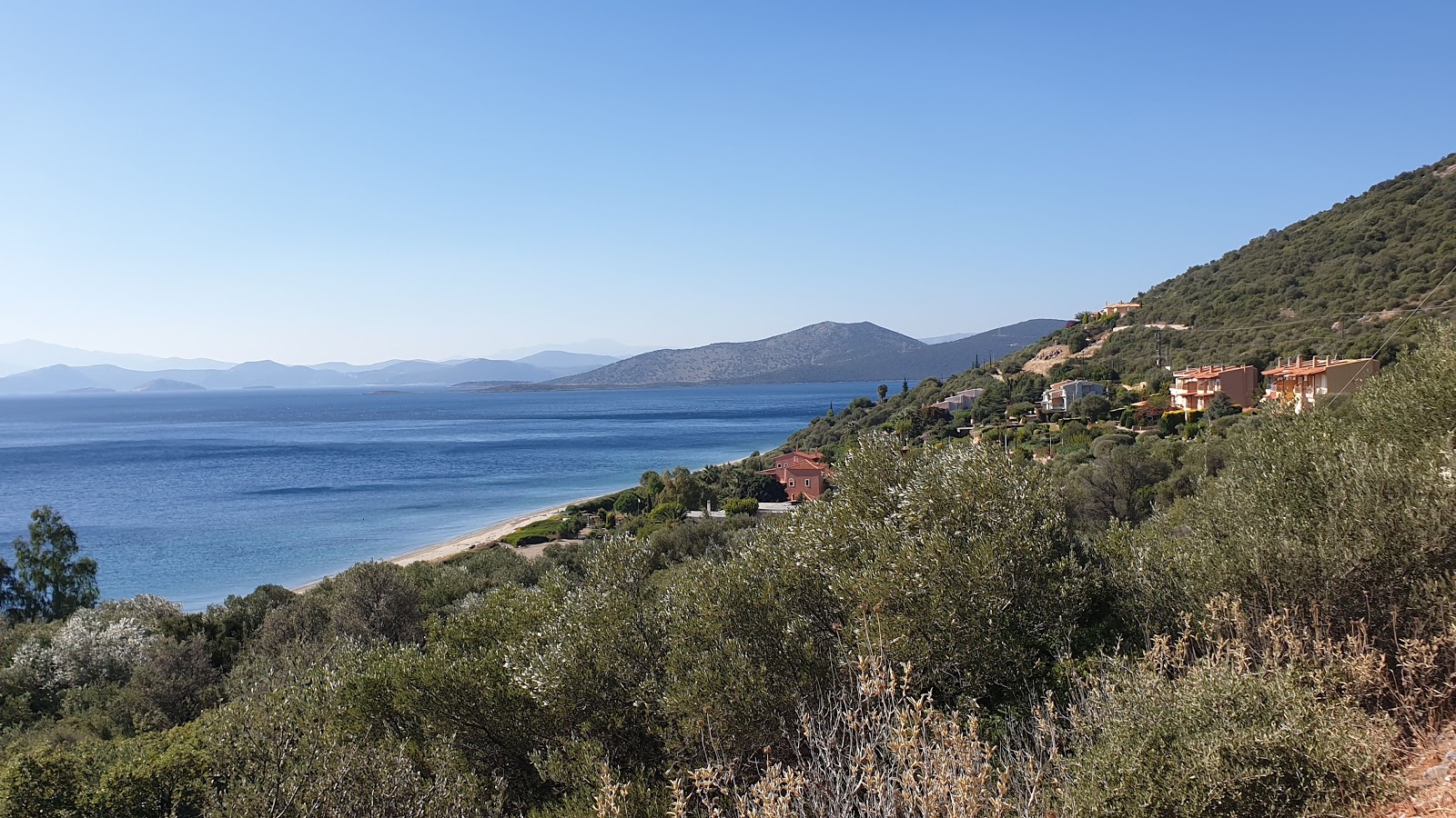 Foto von Delissos beach - beliebter Ort unter Entspannungskennern