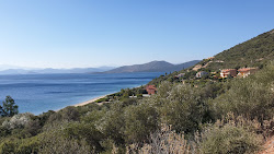 Foto von Delissos beach - beliebter Ort unter Entspannungskennern