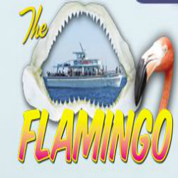 Fishing Charter «Flamingo Deep Sea Fishing», reviews and photos, 801 Seabreeze Blvd, Fort Lauderdale, FL 33316, USA