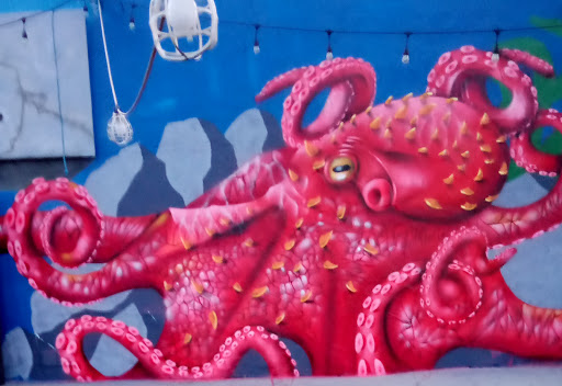 Supermarket «Live Oak Supermarket», reviews and photos, 1668 Capitola Rd, Santa Cruz, CA 95062, USA