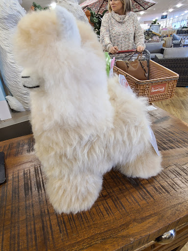 Department Store «HomeGoods», reviews and photos, 4483 Commons Dr W, Destin, FL 32541, USA