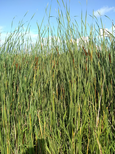 Water Park «Pioneer Waterland & Dry Fun Park», reviews and photos, 10661 Kile Rd, Chardon, OH 44024, USA