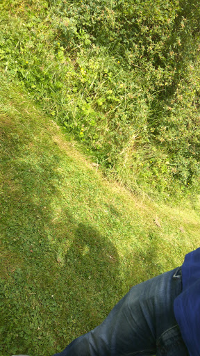 Public Golf Course «Walter Hall Golf Course», reviews and photos, 1226 W Casino Rd, Everett, WA 98204, USA