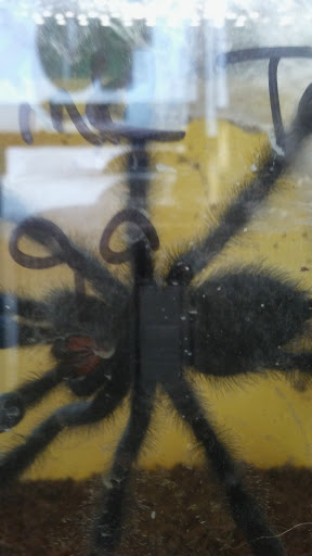 Pet Supply Store «House of Pets Inc», reviews and photos, 29500 Ford Rd, Garden City, MI 48135, USA