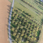 Photo n° 11 de l'avis de françoise.e fait le 06/10/2023 à 20:51 pour North East Balloon à Dombasle-sur-Meurthe