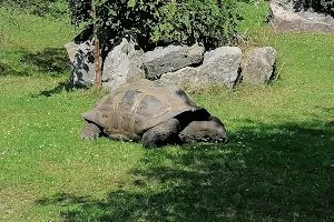 Childrens Zoo / Farm Zoo image