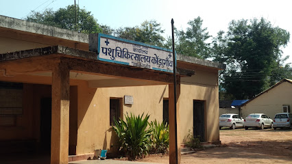 Animal Hospital Kondagaon