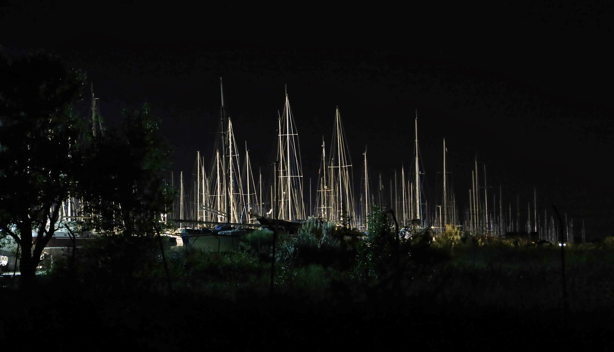 Photo n° 5 de l'avis de Philip.A fait le 23/02/2020 à 17:27