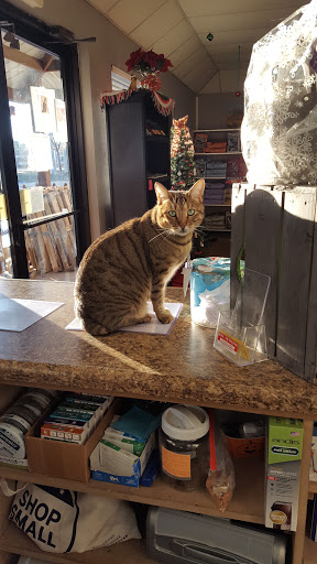 Pet Groomer «Dirty Dog Depot», reviews and photos, 2627 SC-160, Fort Mill, SC 29708, USA