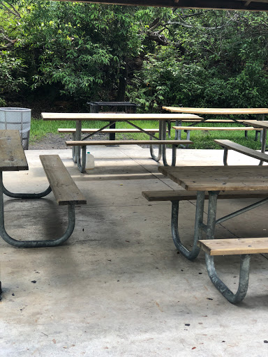 Park «Greynolds Park», reviews and photos, 17530 W Dixie Hwy, North Miami Beach, FL 33160, USA