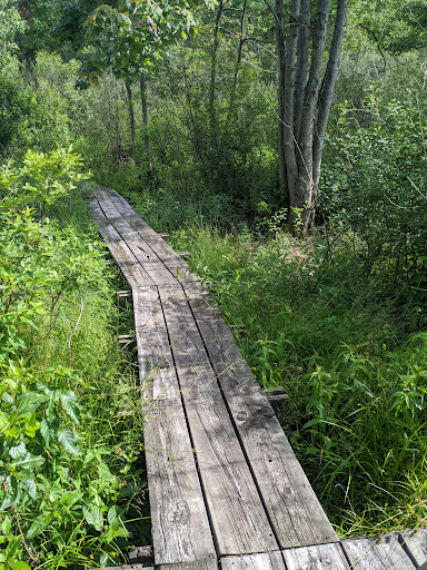 Nature Preserve «Mud Lake Bog Nature Preserve», reviews and photos, 905 E Elm Valley Rd, Buchanan, MI 49107, USA