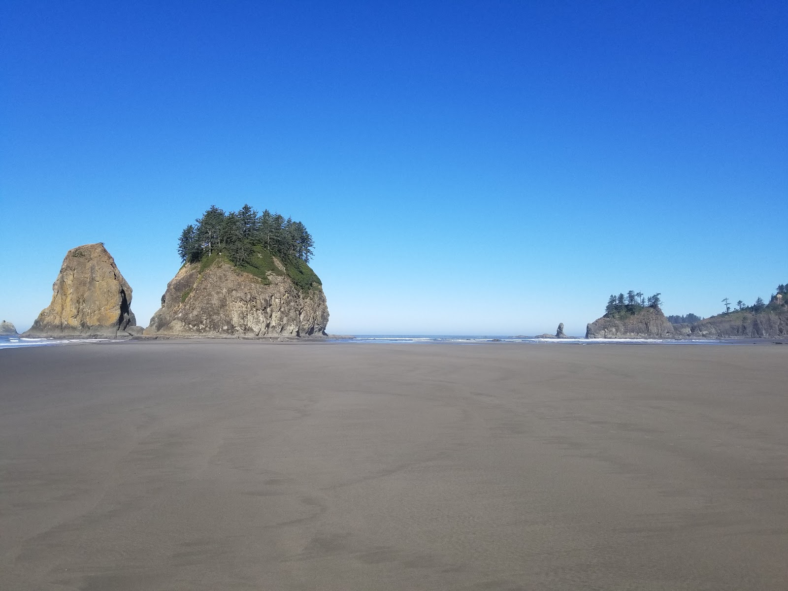 Foto von Second Beach Quileute Res. befindet sich in natürlicher umgebung