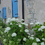 Photo n°17 de l'avis de Carolina.a fait le 30/06/2022 à 13:27 sur le  Alice Relais nelle Vigne à Carpesica