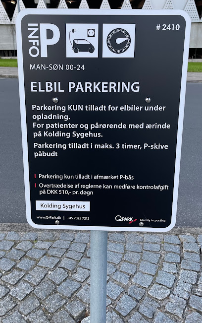 Elbil Opladningsstation