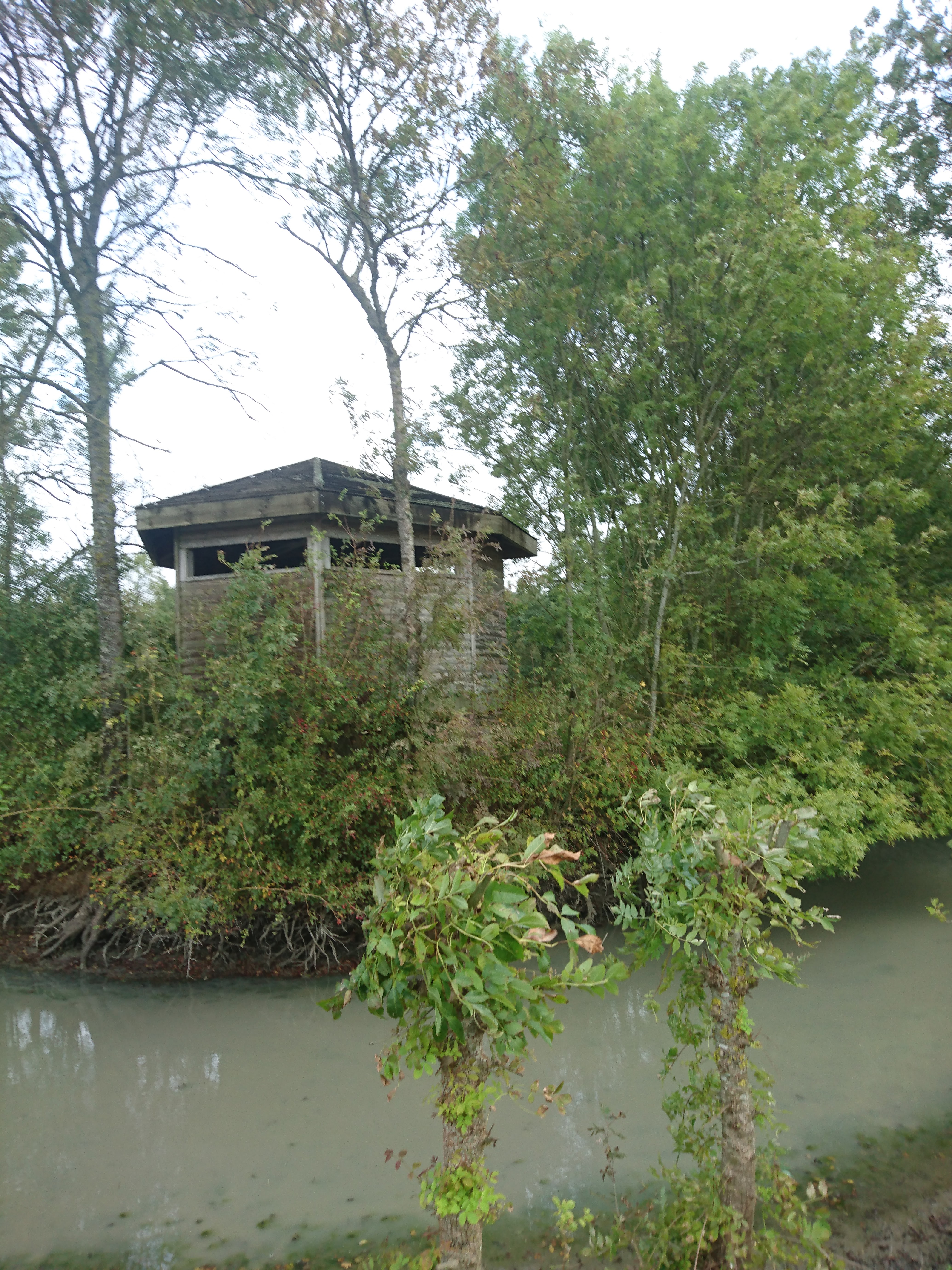 Photo n° 2 de l'avis de Saint.o fait le 26/09/2019 à 10:57