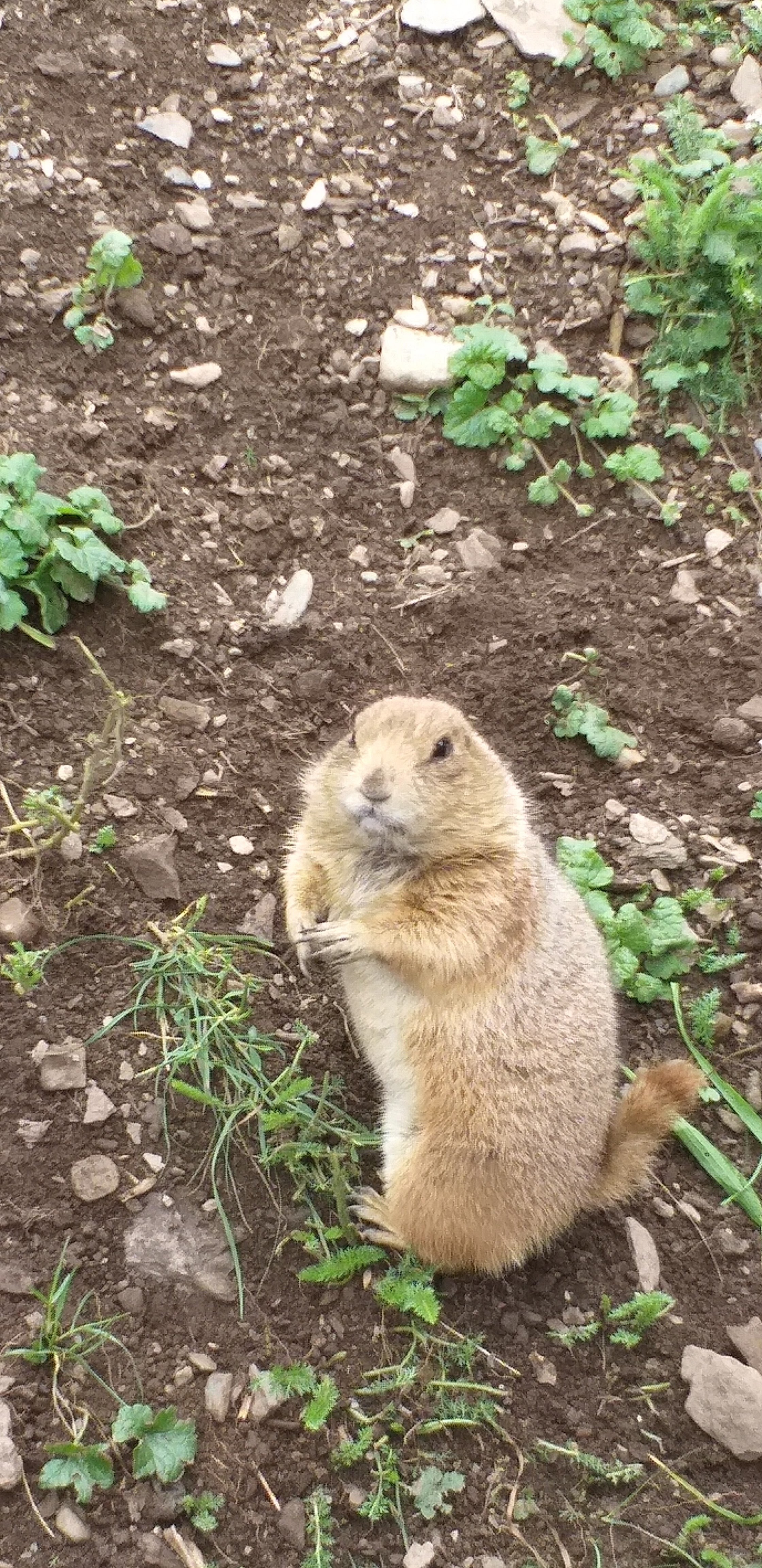 Photo n° 20 de l'avis de Caroline.e fait le 11/08/2019 à 21:48