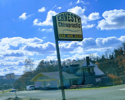 Ernesty Chiropractic Inc - Pet Food Store in Delmont Pennsylvania