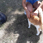 Photo n°3 de l'avis de Matteo.i fait le 06/09/2020 à 01:07 sur le  Tenuta Codirosso à Castelnuovo di Val di Cecina