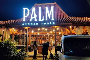 Palm Ethnic Resto image