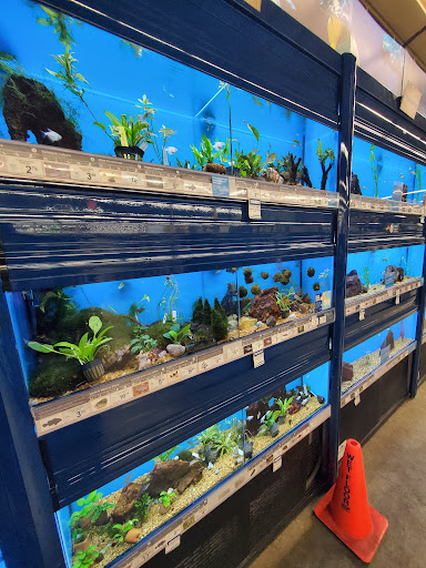 Pet Supply Store «Petco Animal Supplies», reviews and photos, 22 Peninsula Center, Rolling Hills Estates, CA 90274, USA