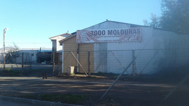 Molduras, TODO MOLDURAS CHILLAN