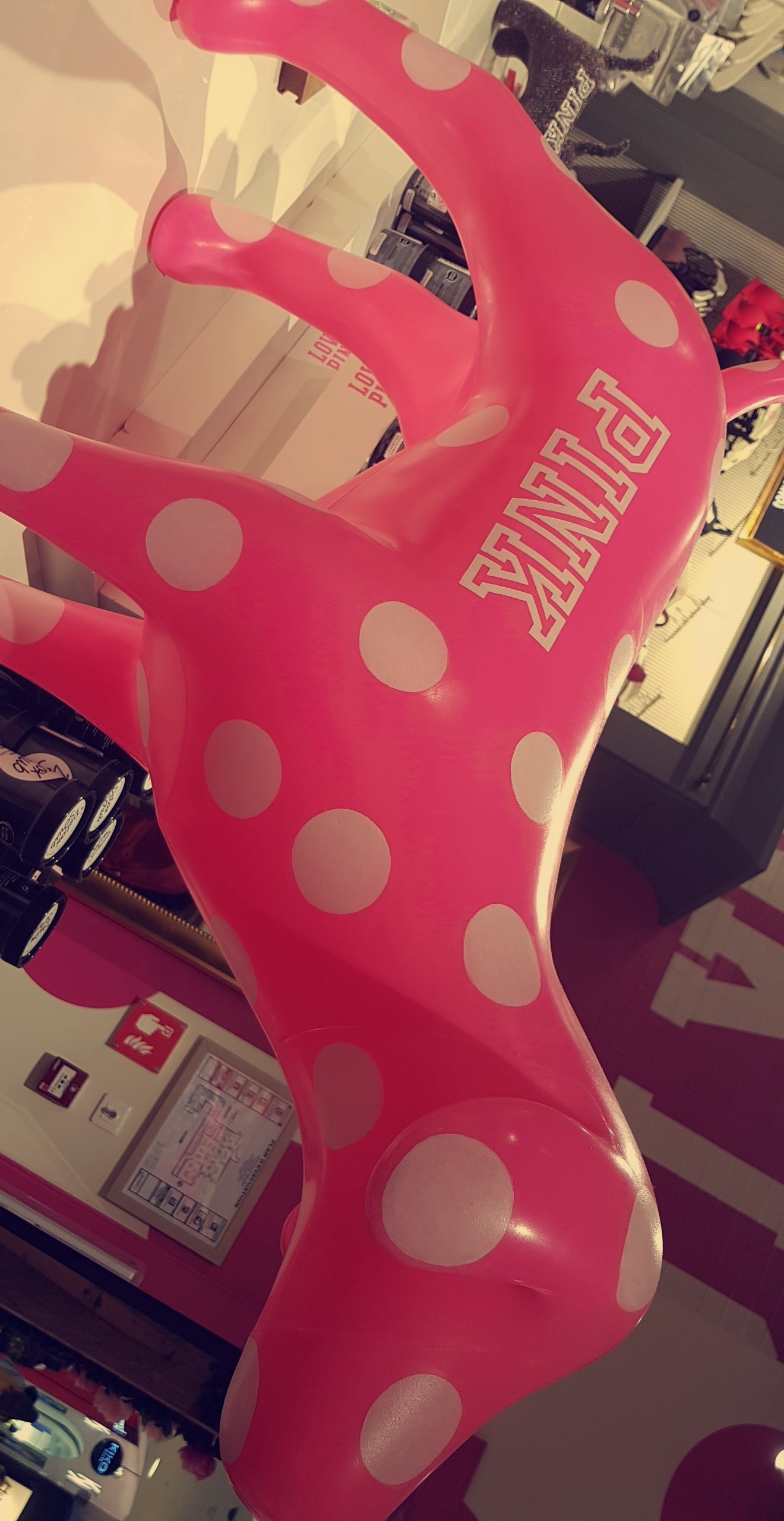 Photo n° 2 de l'avis de Angy.P fait le 13/08/2019 à 13:33
