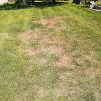 TruGreen Lawn Care - Photo 2 - Car repair in Warwick, RI, Providence
