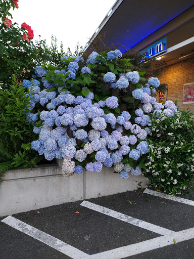 Art Museum «Cascadia Art Museum», reviews and photos, 190 Sunset Ave, Edmonds, WA 98020, USA