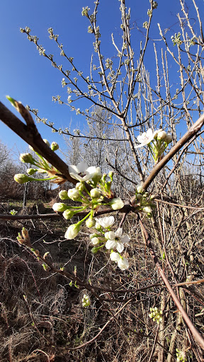 Park «Meadowbrook Park», reviews and photos, 5001 Meadowbrook Ln, Ellicott City, MD 21043, USA