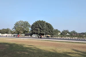 Vivekananda Vad image