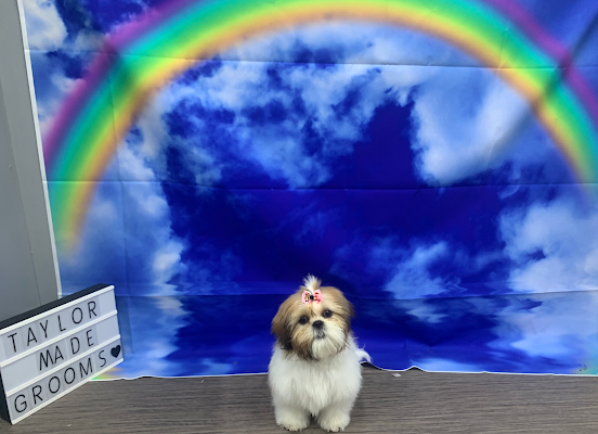 TaylorMade Grooming Services