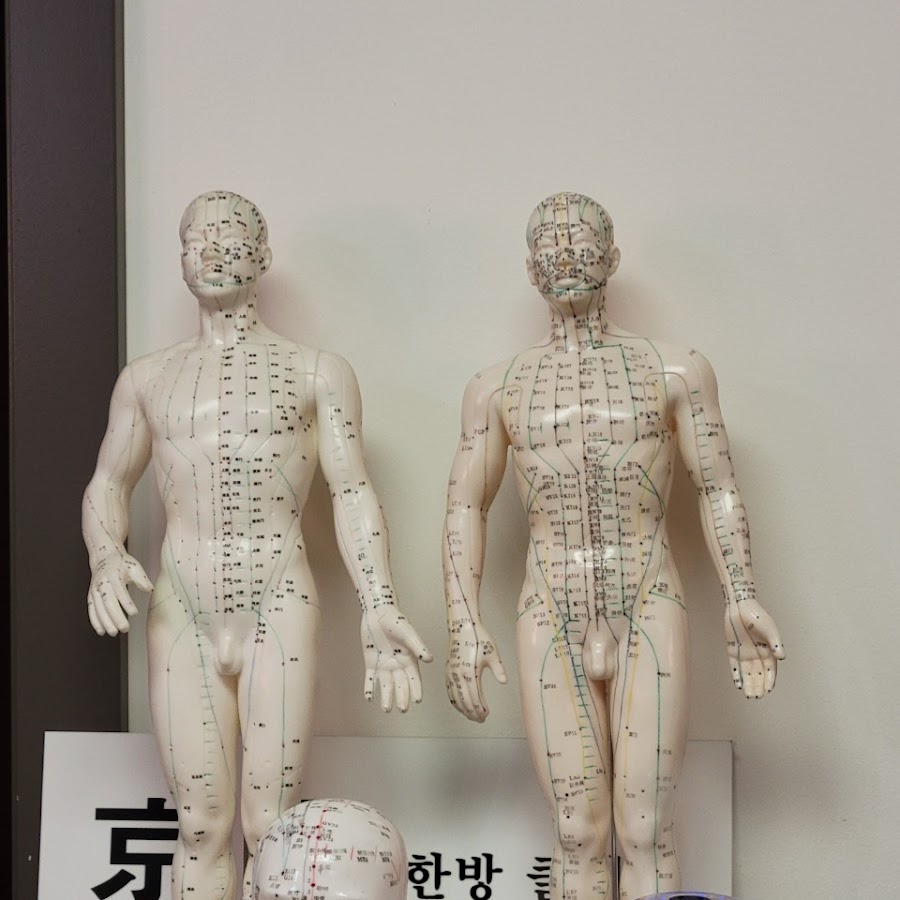 Seoul Oriental Clinic 경동한방클리닉