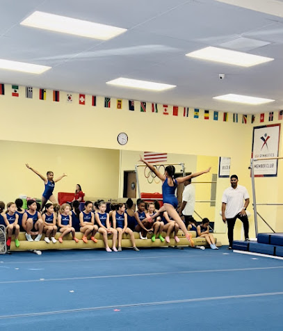 American Flips Kids Gymnastics