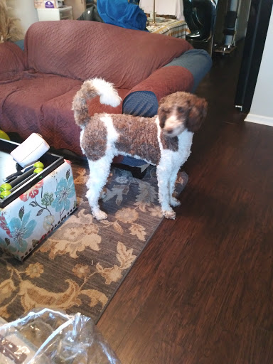 Tobacco Shop «Smoke For Less», reviews and photos, 1105 Gallatin Pike N, Madison, TN 37115, USA