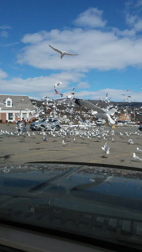 Shopping Mall «Keyser Oak Shopping Center», reviews and photos, 1790 N Keyser Ave, Scranton, PA 18508, USA