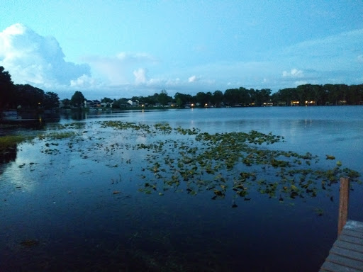 Gym «Planet Fitness», reviews and photos, 204 Sausalito Blvd, Casselberry, FL 32707, USA