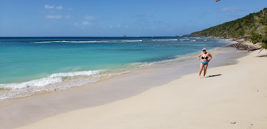 Playa Carlos Rosario