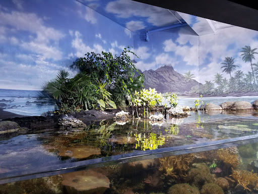 Zoo «Durhams Bear Canyon», reviews and photos, 3701 S 10th St, Omaha, NE 68107, USA